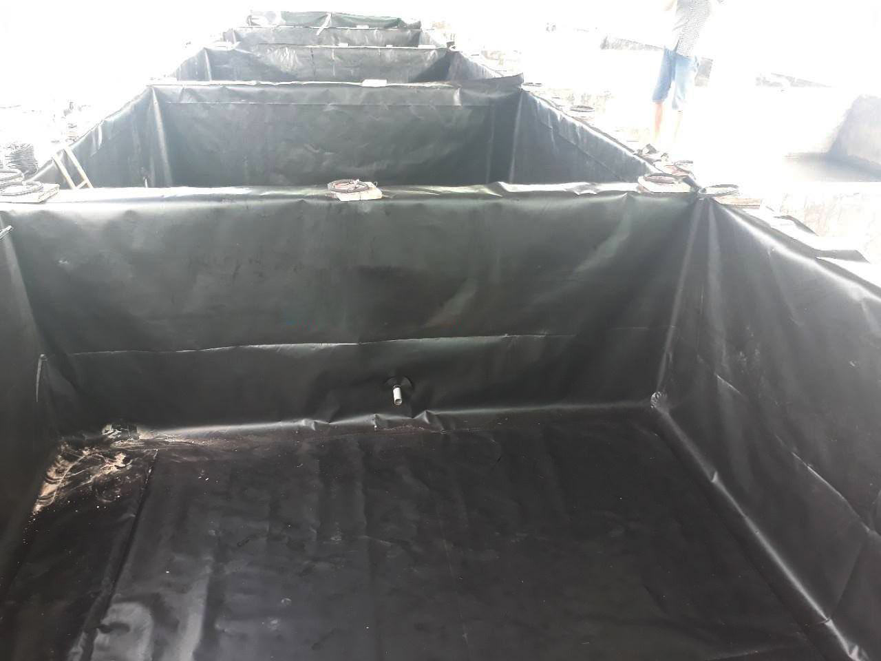 Độc đáo nuôi lươn không bùn trong bể bạt HDPE cắt góc khò góc – Giải pháp sạch bệnh, hiệu quả cao